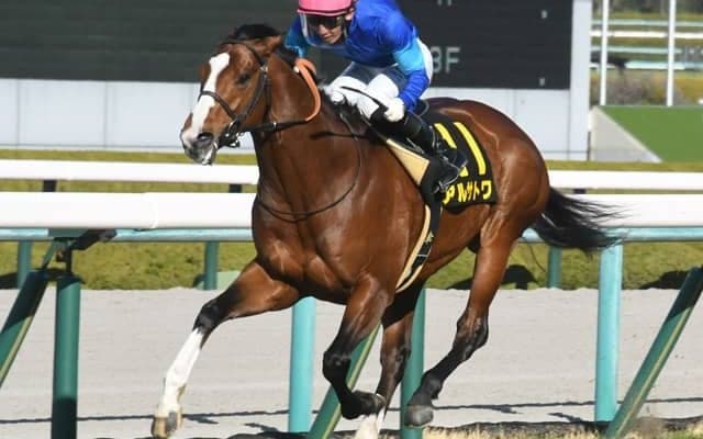 【大阪城S結果】アルサトワが2番手から押し切って連勝