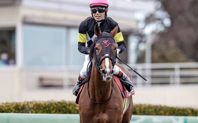 【弥生賞】売上は102億9740万5700円、昨年から約22.1億円の増加