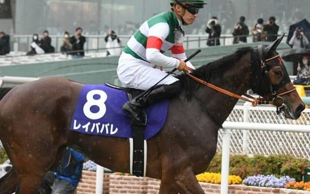 JRAは土日に平地3重賞　金鯱賞・フィリーズレビュー・中山牝馬S/今週の競馬界の見どころ