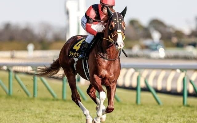 【金鯱賞見どころ】目下4連勝中のジャックドールが初の重賞に挑む
