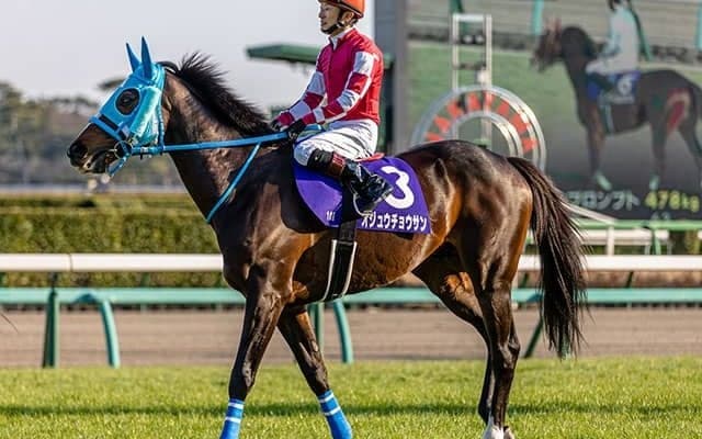 【阪神スプリングJ想定騎手】オジュウチョウサンは石神深一騎手、タガノエスプレッソは平沢健治騎手