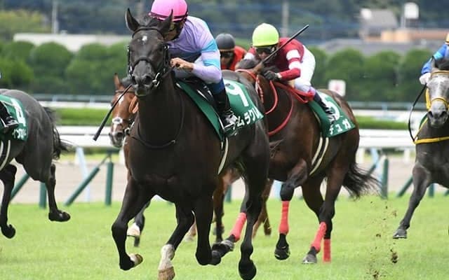 【フィリーズレビュー想定騎手】ナムラクレアは浜中俊騎手、アネゴハダは酒井学騎手
