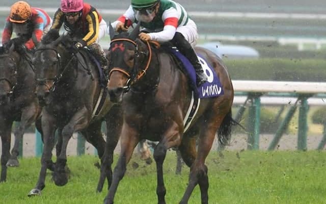 【AI予想・金鯱賞】実績はメンバーで随一！ 得意の距離で「あの馬」が完全復活へ