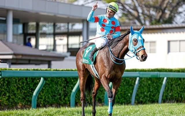 【中山牝馬S想定騎手】テルツェットは田辺裕信騎手、ミスニューヨークはM.デムーロ騎手