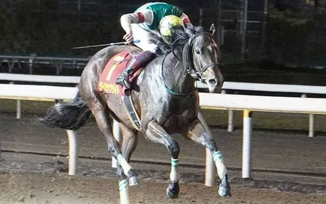 【地方競馬】2021年クイーン賞を制したダイアナブライトが引退、繁殖入り 笹川翼騎手「出会えて良かったです」