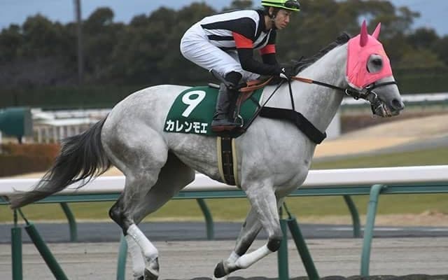 【先週のJRA抹消馬】カレンチャンの仔カレンモエ、重賞勝ち馬5頭コントラチェック・マルターズディオサなど