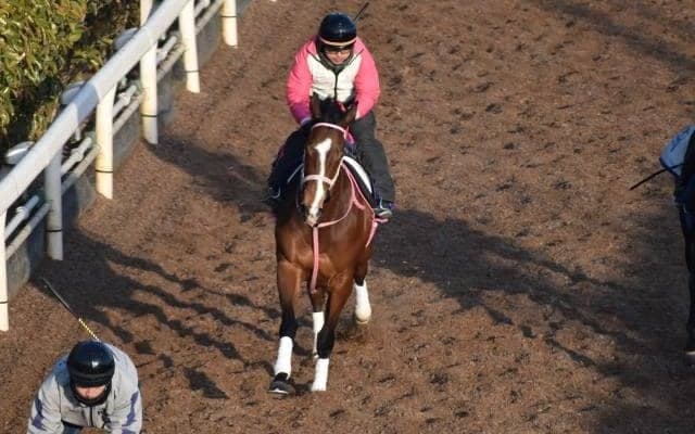 レシステンシアなど、先週の入厩情報/栗東トレセンニュース