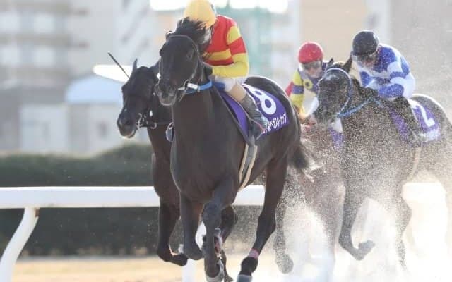 【名古屋・中京ペガスターC結果】プライムデュークがアメリカンペイトリオット産駒として初の重賞制覇