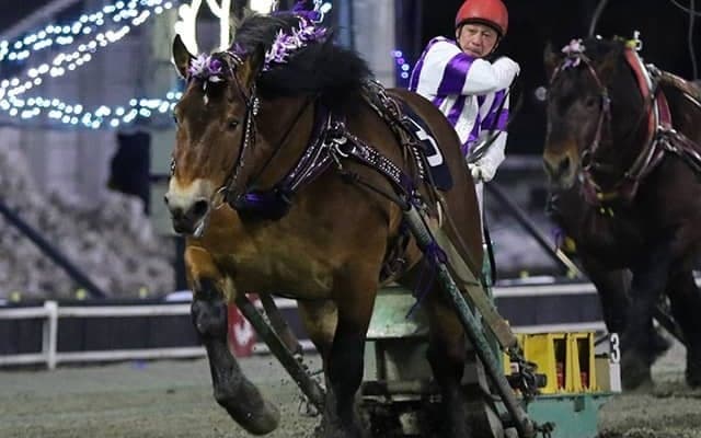 ばんえい競馬なのに速い!? 超軽量戦のスピードスター賞