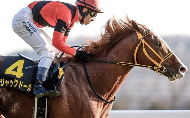 【金鯱賞予想オッズ】4連勝中のジャックドールが予想1番人気