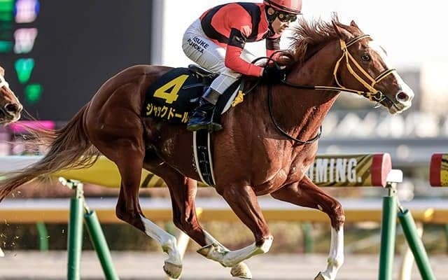 「脚質転換も含めて考えている」ジャックドール、金鯱賞で重賞初制覇狙う藤岡師の秘策とは？
