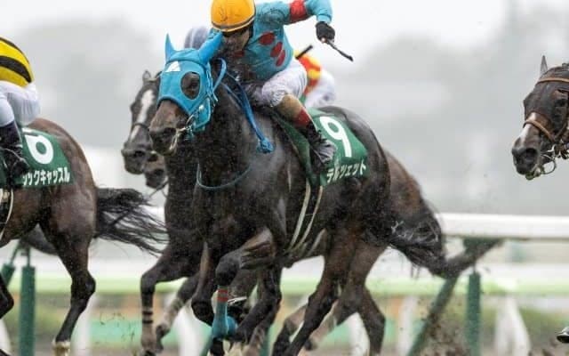 【中山牝馬S予想オッズ】テルツェットが予想1番人気