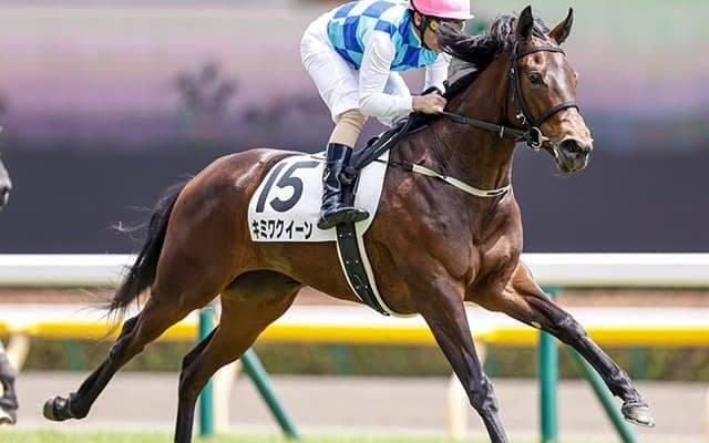 伏兵の台頭が目立つフィリーズレビュー　波乱含みの一戦でAIが指名した注目馬とは？