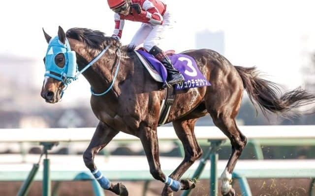 【阪神スプリングJ予想オッズ】オジュウチョウサンが予想1番人気