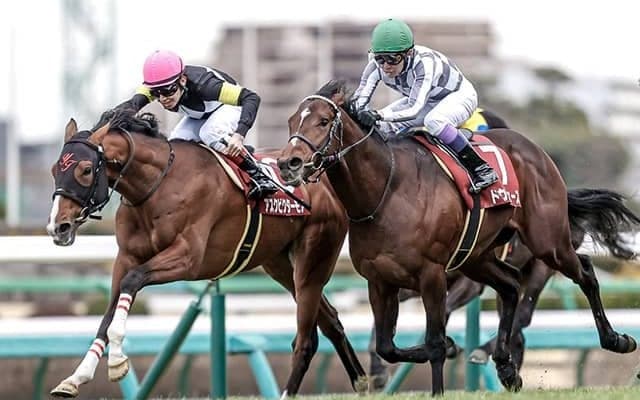 ディープ産駒7頭目の弥生賞V　さらなる飛躍の可能性を感じさせる血統構成