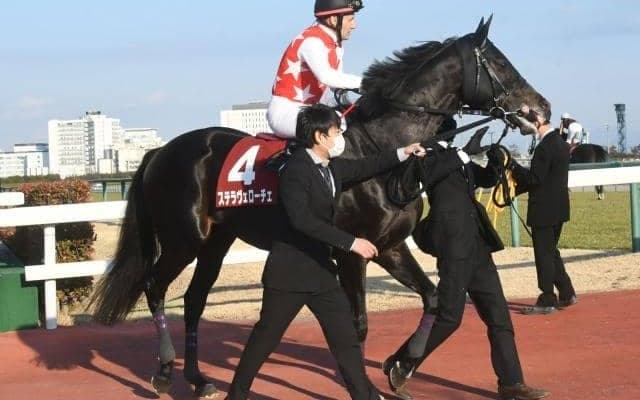 【ドバイシーマクラシック】ステラヴェローチェはM.デムーロ騎手で参戦