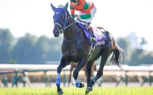 【次走】ユーバーレーベンはD.レーン騎手とのコンビでドバイシーマクラシックに参戦