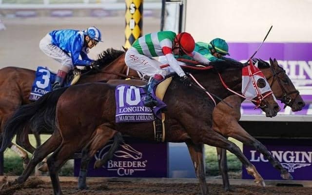 マルシュロレーヌが引退、繁殖馬に　BCディスタフで日本馬初の海外ダートG1制覇