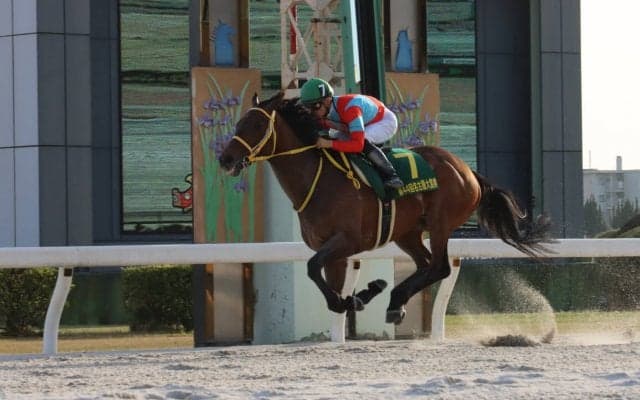 【名古屋大賞典】クリンチャーは6枠7番
