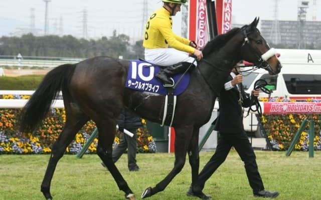 【次走】サークルオブライフは予定通り桜花賞へ　チューリップ賞3着も、国枝師「問題ない」