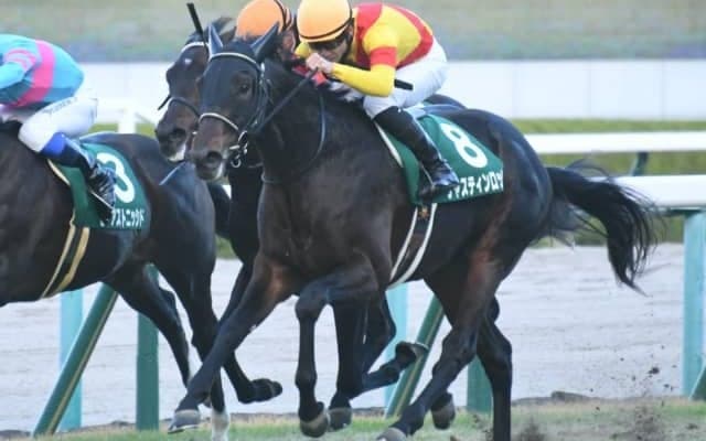 【次走】ジャスティンロックは松山弘平騎手との再コンビで皐月賞へ 