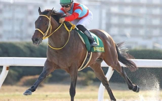 【名古屋大賞典 14時時点オッズ】昨年覇者クリンチャーが1.1倍の断然人気