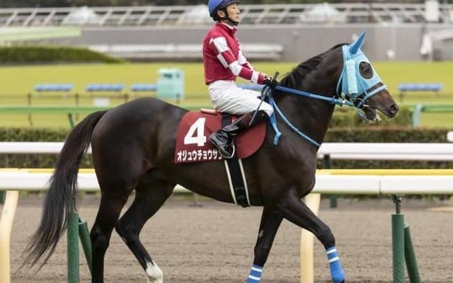 【阪神スプリングJ出走馬・騎手確定】オジュウチョウサン＆石神深一騎手、タガノエスプレッソ＆平沢健治騎手など11頭