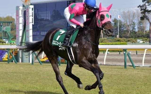 【中山牝馬S出走馬・騎手確定】ミスニューヨーク＆M.デムーロ騎手、テルツェット＆田辺裕信騎手など16頭