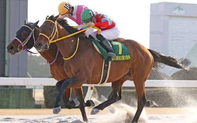 【名古屋大賞典結果】クリンチャーがゴール寸前で差し切り連覇　川田将雅騎手は3連覇