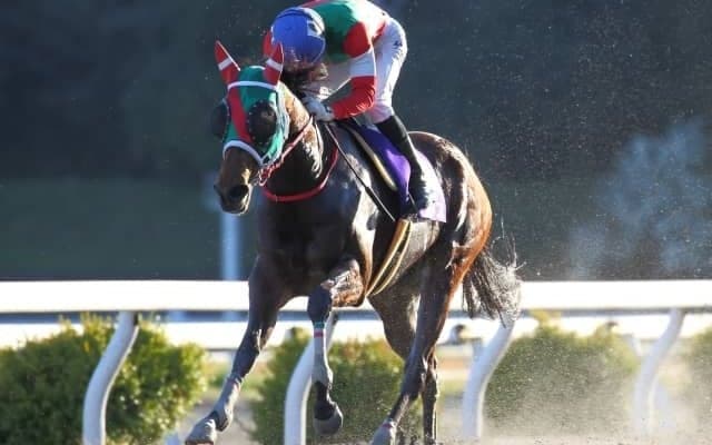 【高知・黒船賞出走予定馬】DG4勝馬ラプタス、根岸Sの2着馬ヘリオスら