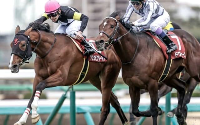 【次走】アスクビクターモアは皐月賞へ 田村師「魅力はあります」