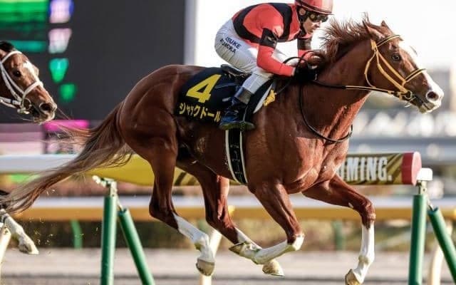 【金鯱賞枠順確定】ジャックドールは3枠3番、レイパパレは7枠10番