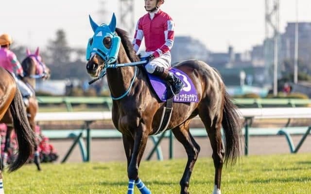 【阪神スプリングJ枠順確定】オジュウチョウサンは5枠5番、タガノエスプレッソは2枠2番