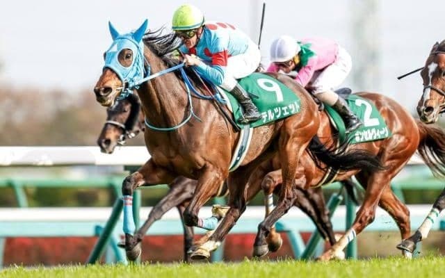 【中山牝馬S枠順確定】ミスニューヨークは2枠3番、テルツェットは5枠9番