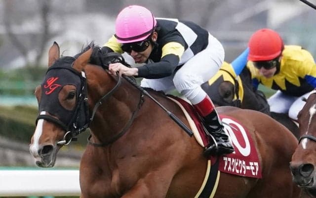 【弥生賞】田辺「まだまだ成長の余地ある」アスクビクターモアが重賞初制覇