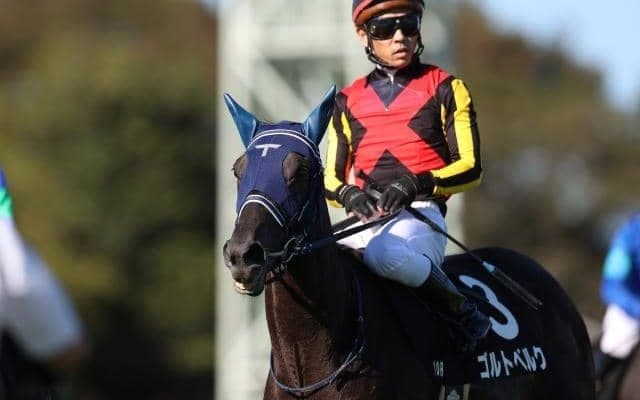 【中山牝馬S予想】今年は展開もひとつの鍵に？ 過去10年VM勝ち馬も輩出した牝馬のハンデ重賞