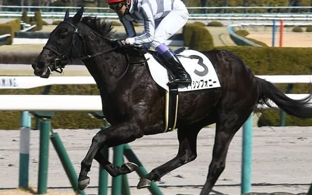 【フィリーズレビュー予想】疑うべきは「王道」!? 3歳乙女に求められるものとは