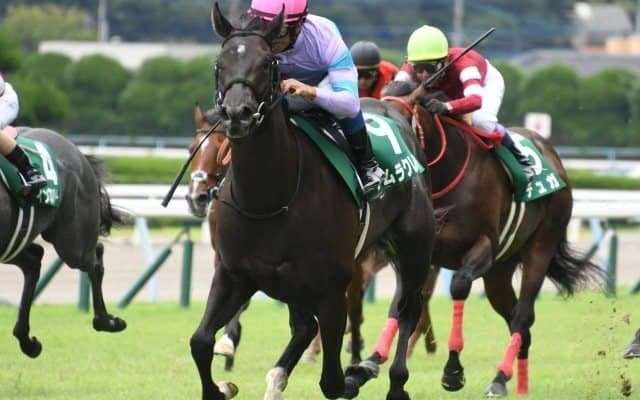 【WIN5予想】フィリーズRは枠順や馬格が明暗を分けそう