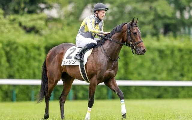 【フィリーズレビュー予想】スピードが鍵、チューリップ賞とは性質の異なる桜花賞トライアル