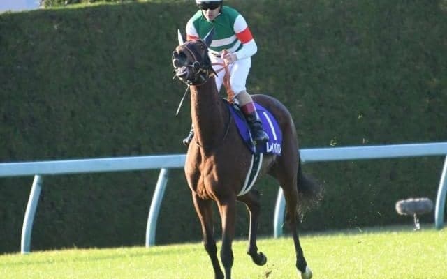 【金鯱賞予想】GIへの優先出走権を手にするのは…大阪杯と同じ距離で行われる別定重量のGII競走