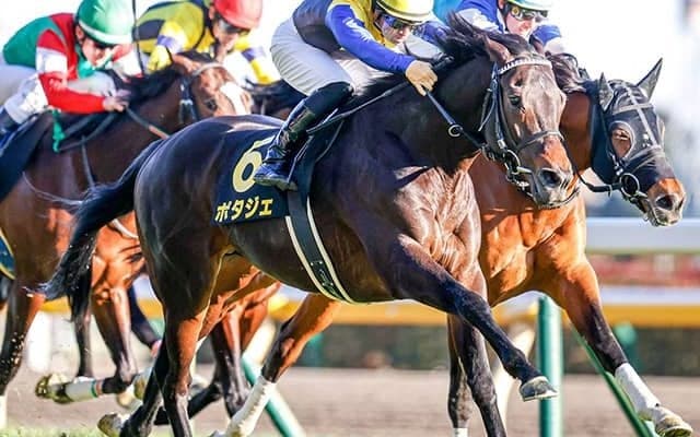 【AI予想・金鯱賞】ジャックドールではない「あの馬」を◎抜擢！ 4連勝でも「期待値」はあちら!?