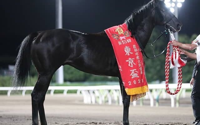 【高知・黒船賞】サクセスエナジーは吉原寛人騎手に乗り替わり、松山弘平騎手の落馬負傷で