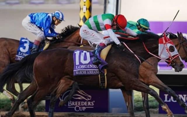 【先週のJRA抹消馬】史上初海外ダートGI勝利のマルシュロレーヌ、2歳GI馬タイムフライヤーなど