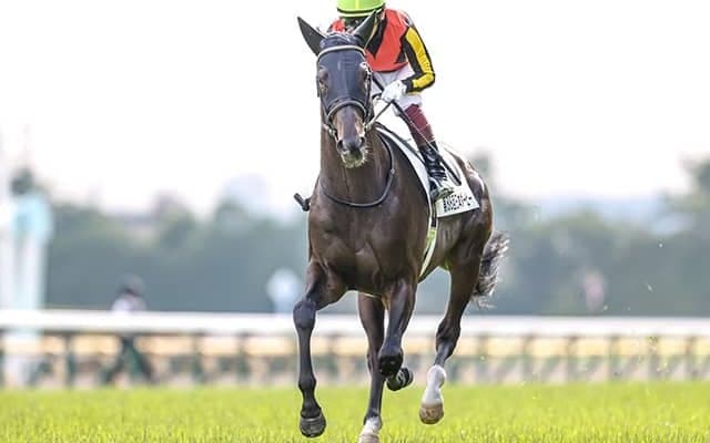 【海外競馬】ドバイWCデー招待受諾の日本馬発表　チュウワウィザード、シャフリヤールなど