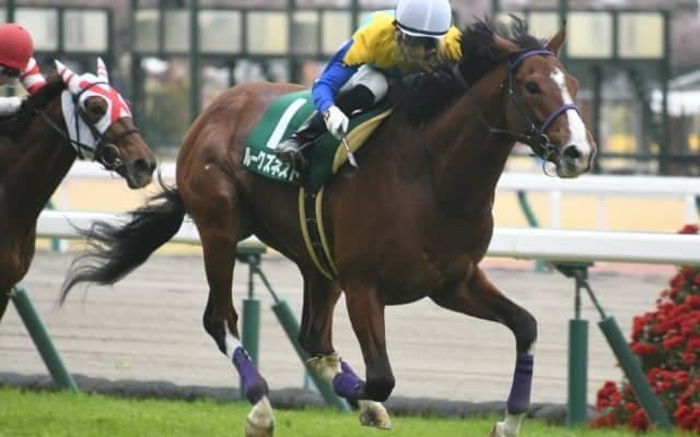 【次走】ルークズネストはマイラーズCを目標に調整　昨年のファルコンS覇者