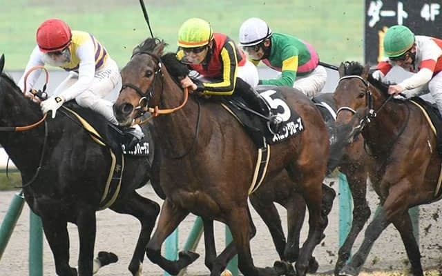 【フラワーC想定騎手】スタニングローズは川田将雅騎手、シンティレーションは横山武史騎手