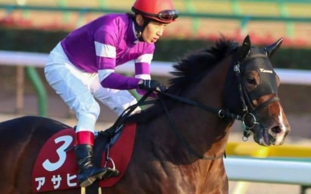 【スプリングS予想オッズ】アサヒが予想1番人気