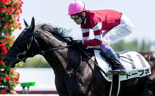 AIはあの5億円ホースをどう評価？ スプリングSで指名した注目の1頭