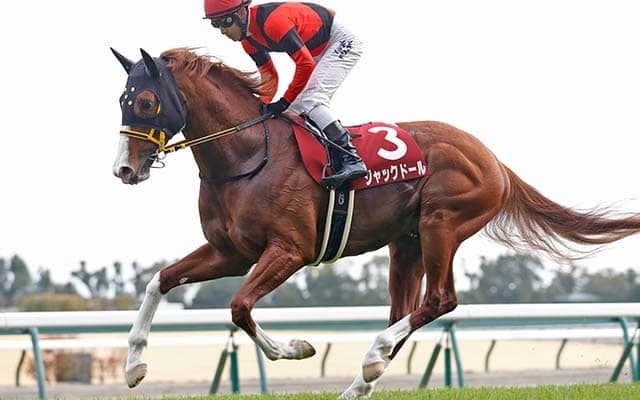 金鯱賞制覇のジャックドールを出したモーリス産駒はアベレージの高さが魅力