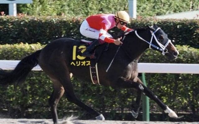 【黒船賞】武豊 ヘリオスは8枠11番